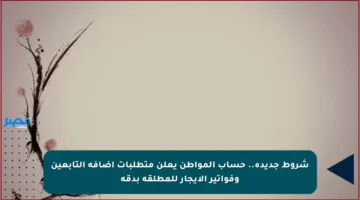 شروط جديدة.. حساب المواطن يعلن متطلبات إضافة التابعين وفواتير الإيجار للمطلقة بدقة
